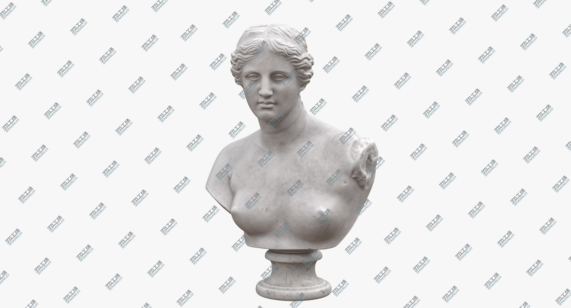 images/goods_img/2021040235/Venus de Milo Bust 3D model/4.jpg
